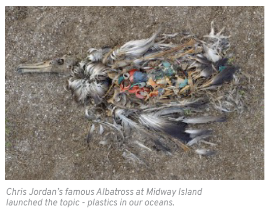 Chris Jordan’s famous Albatross at Midway Island launched the topic - plastics in our oceans.